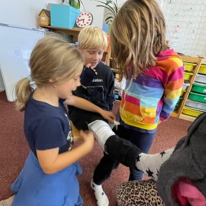 571195126_1280912950503897_3755893657693974408_n