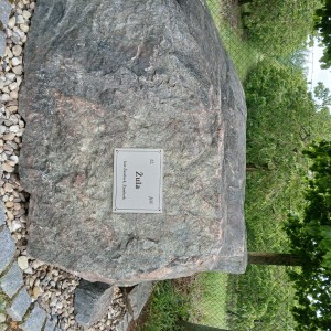 1000094110