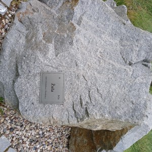 1000094114