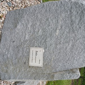 1000094118